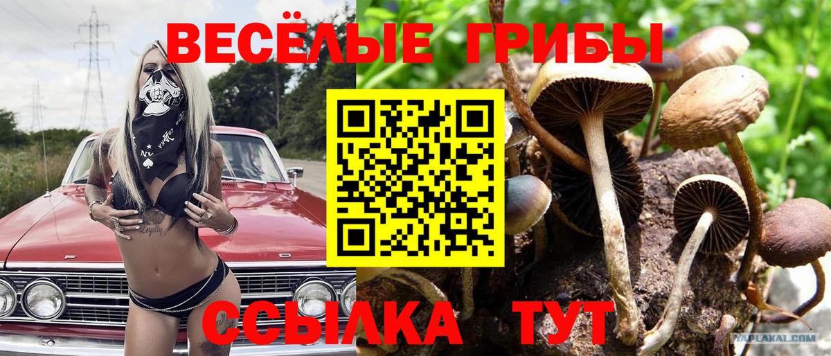 Галлюциногенные грибы мицелий  Вход с VPN  Кудрово 