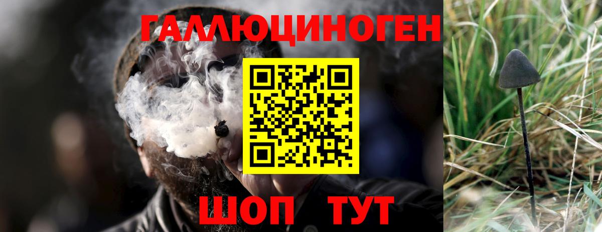 Галлюциногенные грибы мицелий Кудрово
